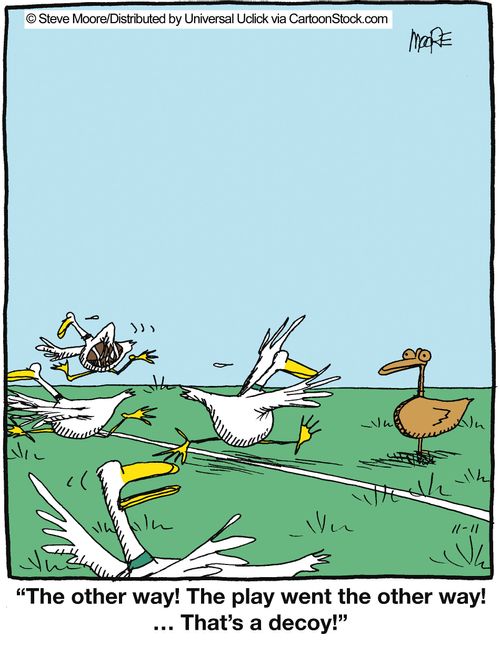 'The other way! that play went the other way! ... That's a decoy!'