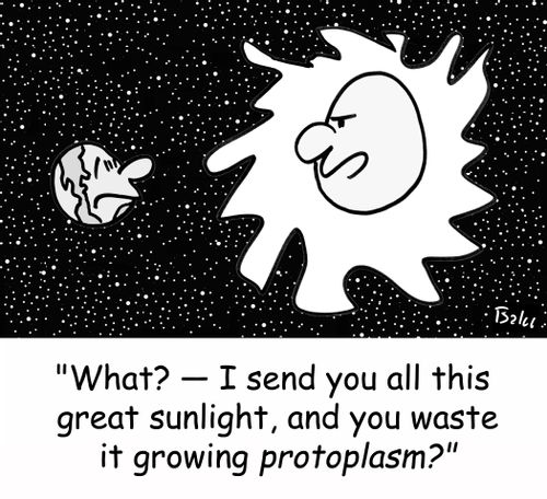 'What? -- I send you all this great sunlight, and you waste it growing PROTOPLASM?'