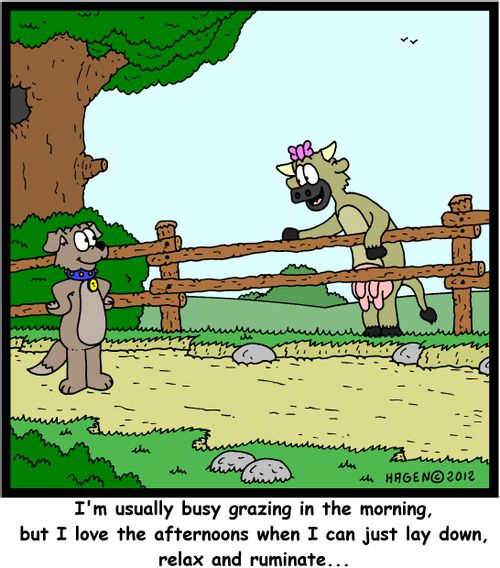 'I'm usually busy grazing in the morning, but I love the afternoons when I can just lay down, relax and ruminate...'