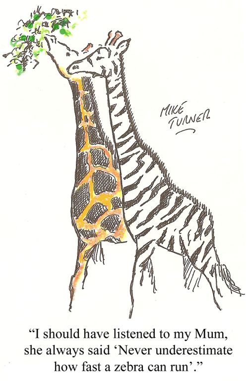 'I should have listened to my Mum, she always said, 'Never underestimate how fast a zebra can run'.'