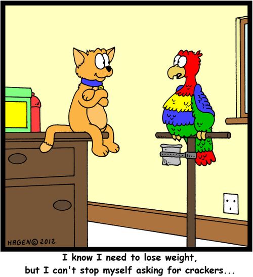 'I know I need to lose weight, but I can't stop myself asking for crackers...'