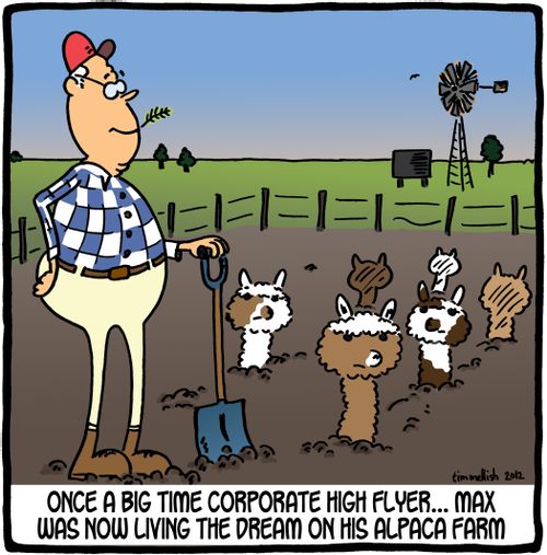 Once a big time corporate higher flyer . . . Max was now living the dream on his alpaca farm.