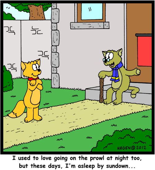 'I used to love going on the prowl at night too, but these days, I'm asleep by sundown...'