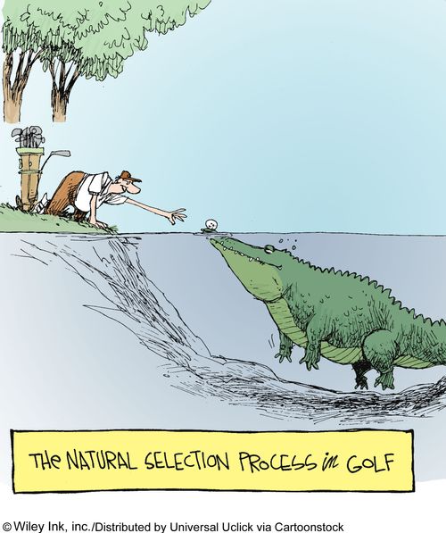 The natural selection process in golf.