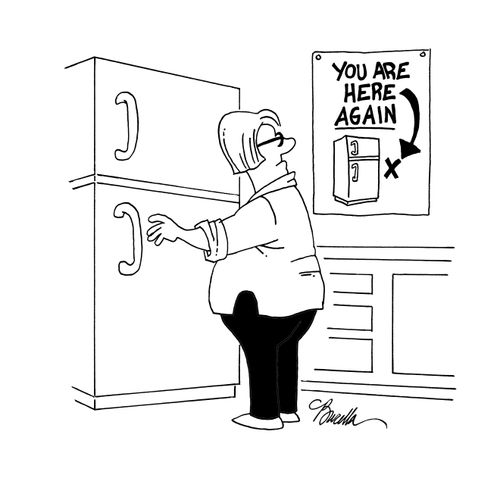 Refrigerator: You Are Here Again.