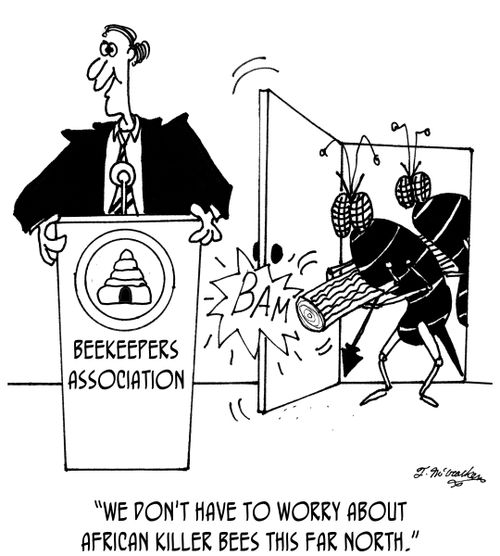 'We don't have to worry about African Killer Bees this far north.'