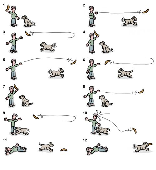 Boomerang fetching