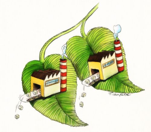 Sugar production