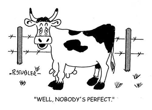 'Well, nobody's perfect.'