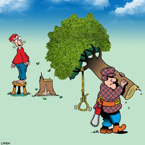 Man steals a suicidal man's tree.