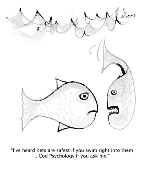 'I've heard nets are safest if you swim right into them...Cod Psychology if you ask me.'