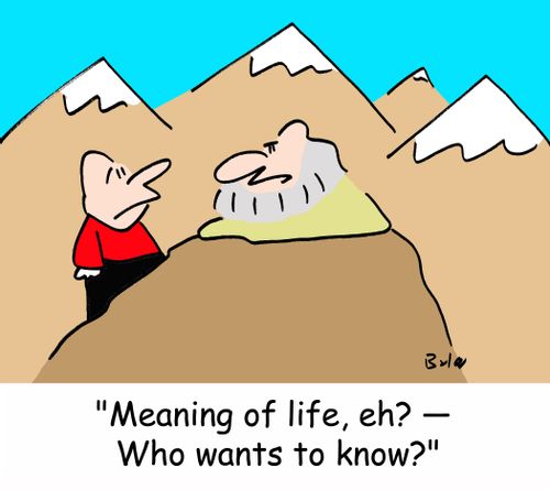 'Meaning of life, eh? -- Who wants to know?'