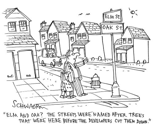 'Elm and oak? The streets were named after trees that were here before the developers cut them down.'