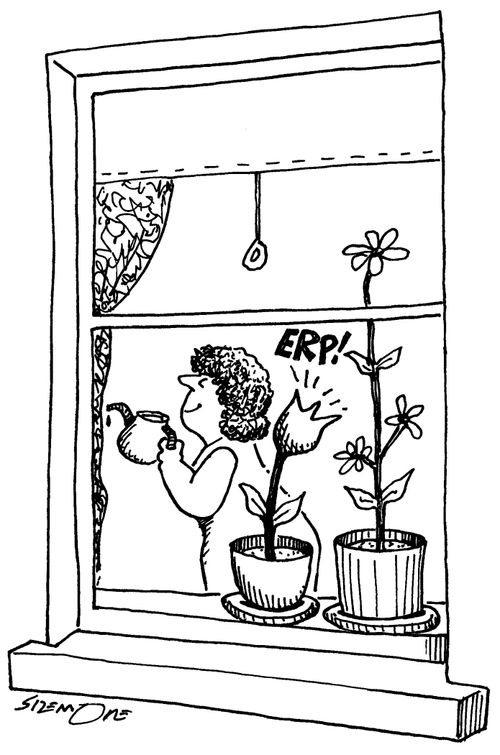 Belching plant
