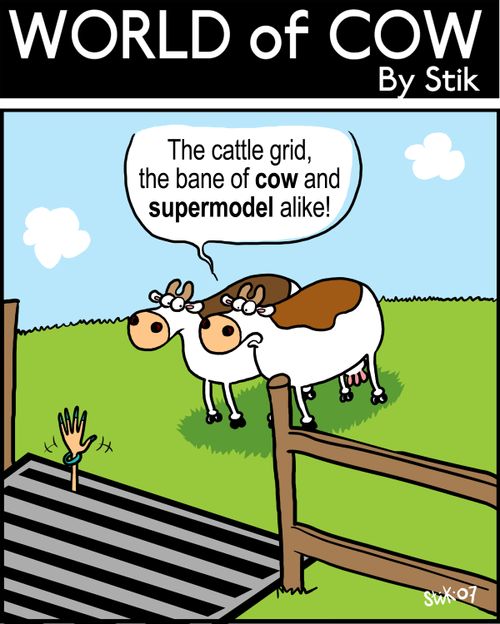 The cattle grid, the bane of cow and supermodel alike!