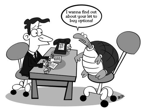I wanna find out about your let to buy options!