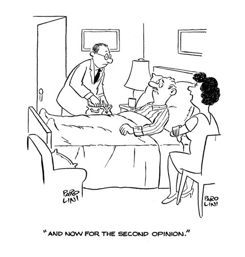 'And now for the second opinion.'