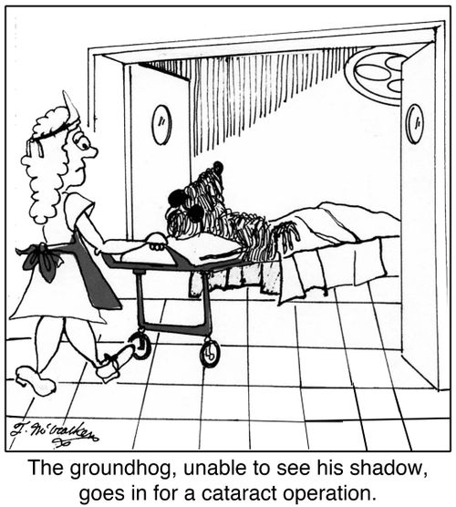 The groundhog, unable to see his shadow, goes in for a cataract operation.