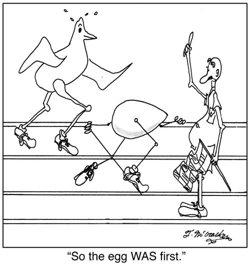 'So the egg WAS first.'