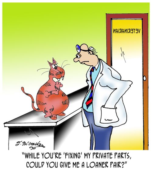 'While you're 'fixing' my private parts, could you give me a loaner pair?'