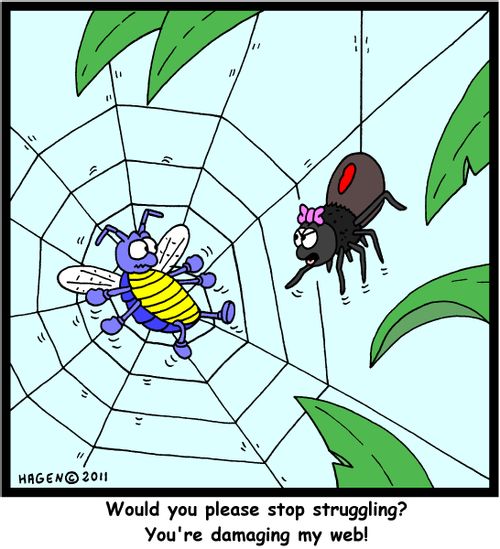 'Would you please stop struggling? You're damaging my web!'