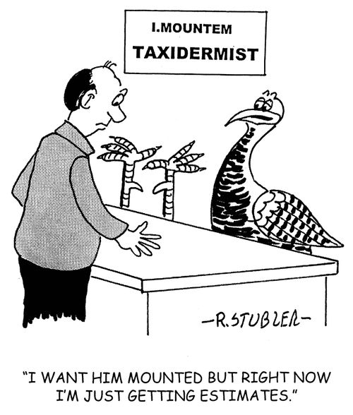 'I want him mounted but right now I'm just getting estimates.'