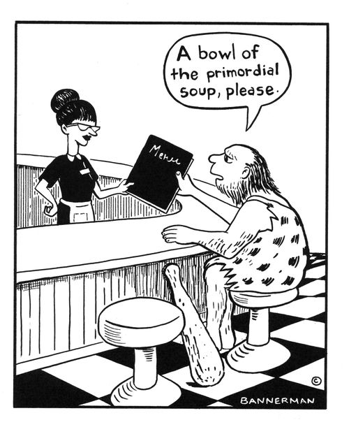 'A bowl of the primordial soup, please.' 