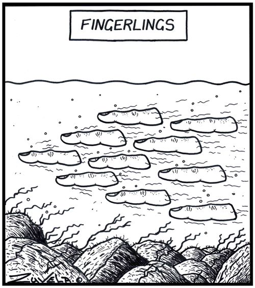 Fingerlings.