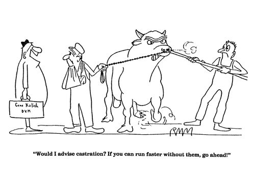 'Would I advise castration?'