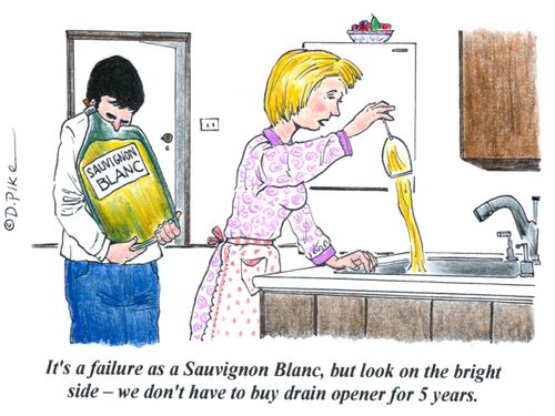 'It's a failure as a Sauvignon Blanc, but look on the bright side - we don't have to buy drain opener for 5 years.'