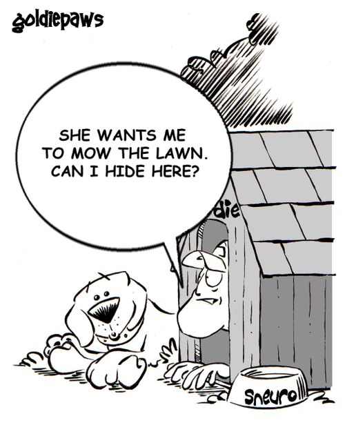 She wants me to mow the lawn. Can I hide in here?