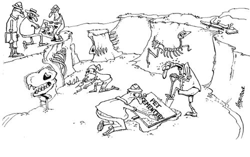 Dinosaur dig 'Pet cemetery'