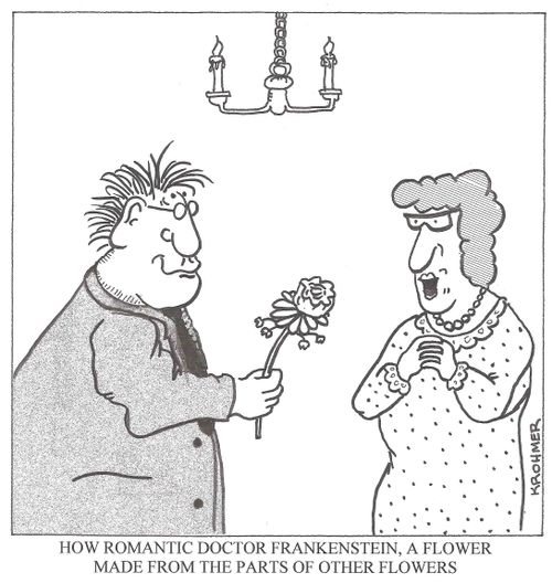 'How romantic Dr Frankenstein, a flower made from the parts of other flowers.'