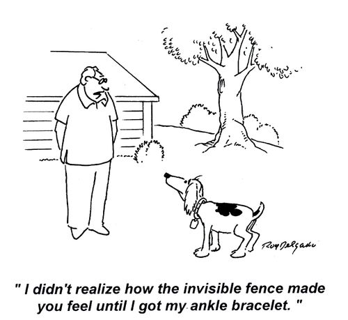 'I didn't realise how the invisible fence made you feel until I got my ankle bracelet.'