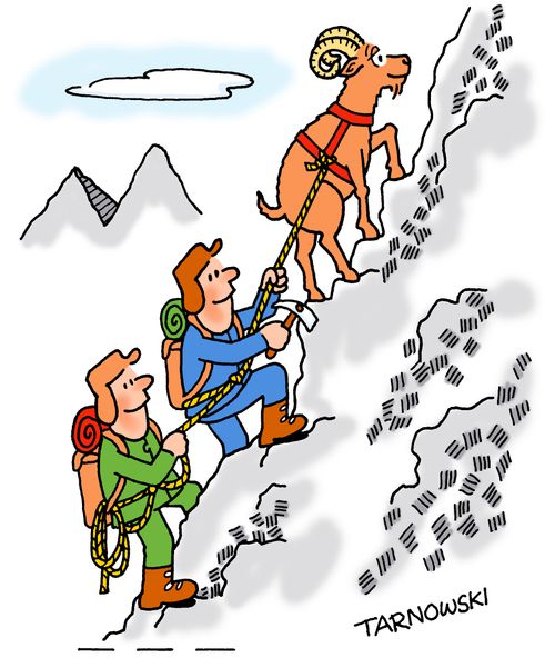Climbing with a mountain goat.