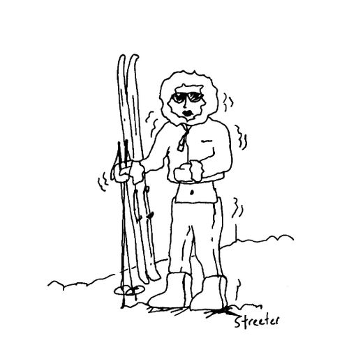 Midriff Ski Bunny