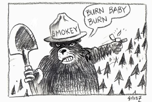 Bush announces new strategy for dealing with forest fires.