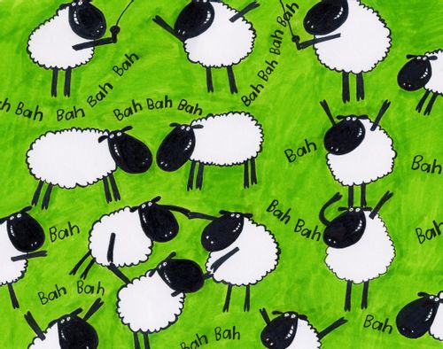 Sheep