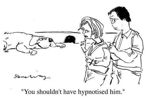 "You shouldn't have hypnotised him"