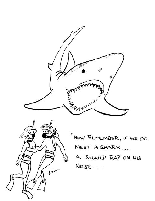 "Now remember if we do meet a shark, a sharp rap on his nose....