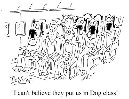 "I can't believe they put us in dog class!"