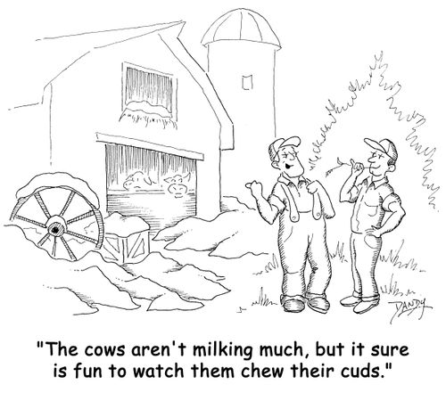 'The cows aren't milking much, but it sure is fun to watch them chew their cuds.'
