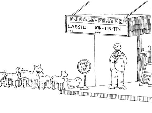 Double Feature: Lassie - Rin-Tin-Tin.