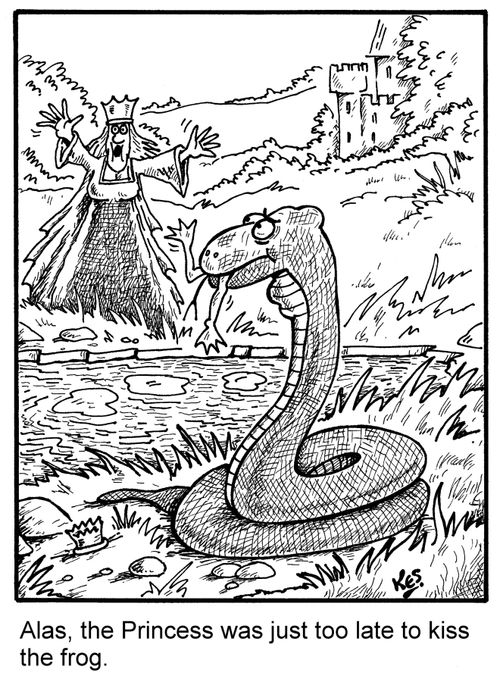 Alas, the Princess was just too late to kiss the frog.