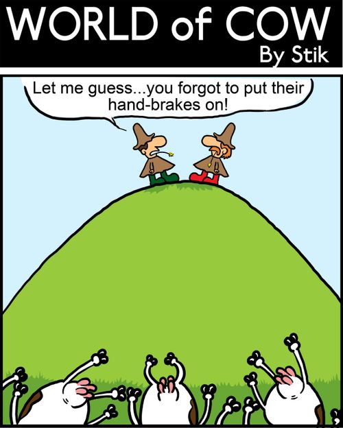 "Let me guess...you forgot to put their hand-brakes on!"