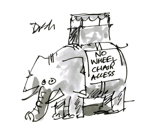 Elephant ride