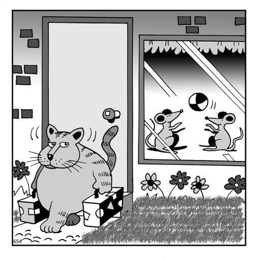 "When the cat's away..."
