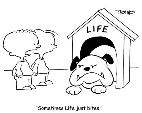 'Sometimes Life just bites.'