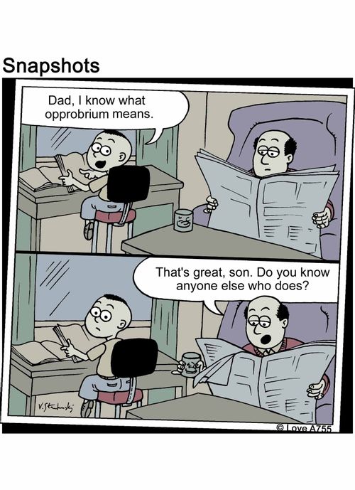 "Dad, I know what opprobrium means." "That's great, son. Do you know anyone else who does?"
