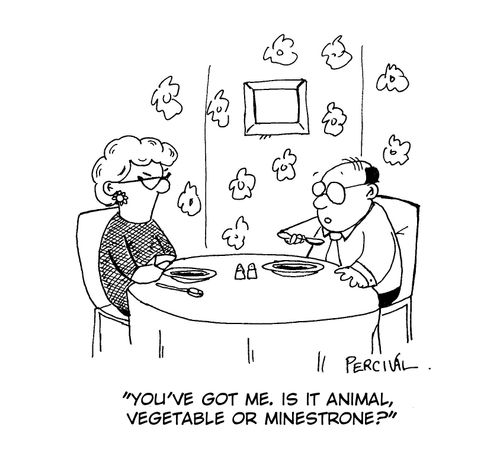 'You've got me. Is it animal, vegetable or minestrone?'